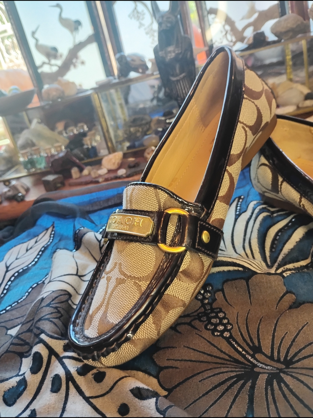 Coach Brown Signature Canvas Loafers with Dark Brown Trim - Picture 4 of 16